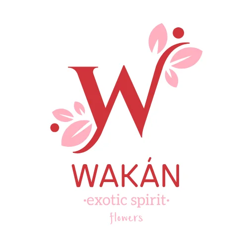 Aguacate Wakán Orgánico de la Sierra Norte Carchi Ecaudor